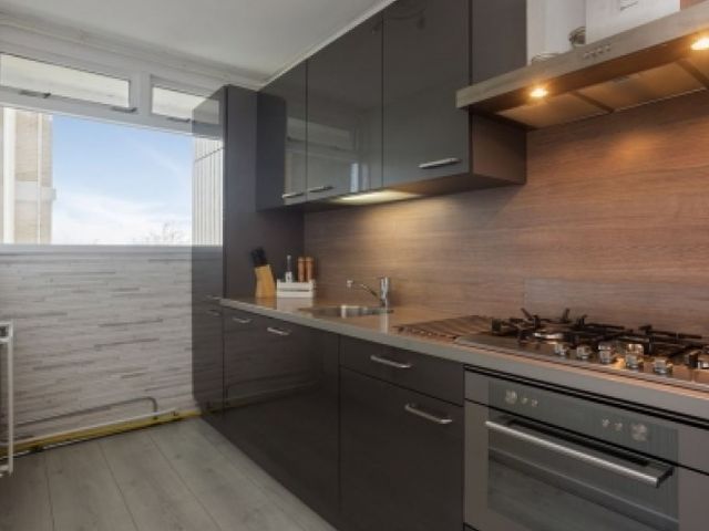 Oost Dorsch , Zaandam