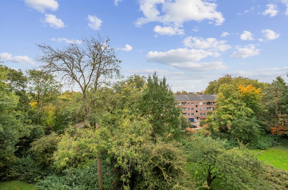 Van Nijenrodeweg 778