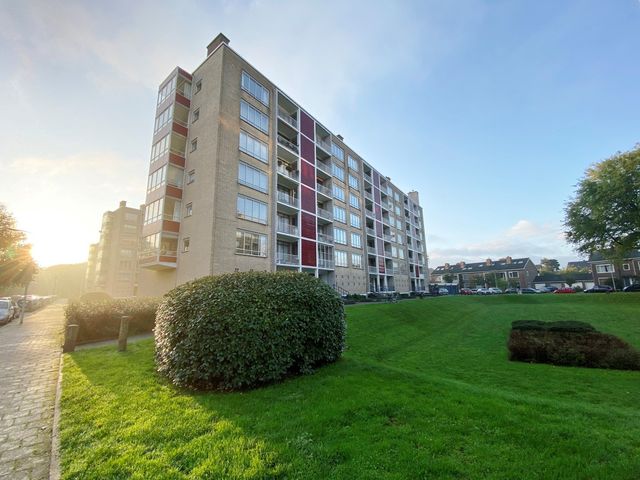 Van Alkemadelaan 1060, Den Haag