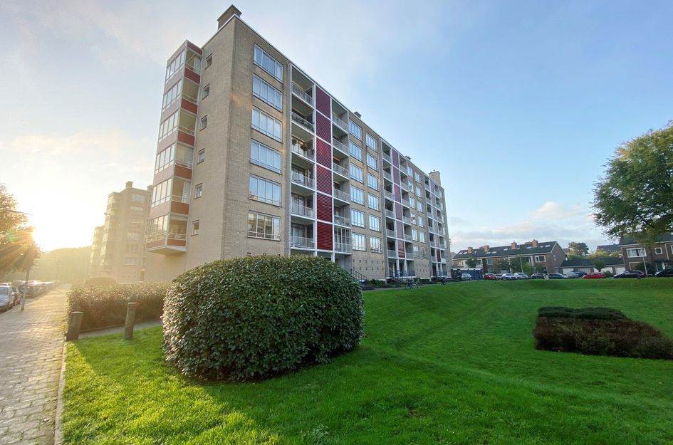 Van Alkemadelaan 1060