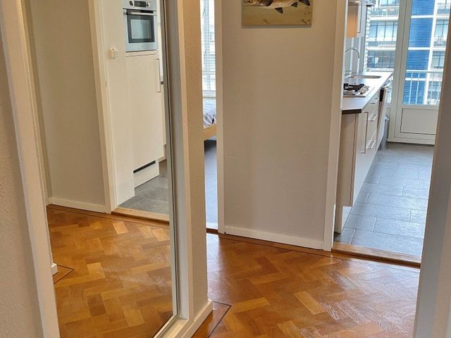 Van Alkemadelaan 1060, Den Haag