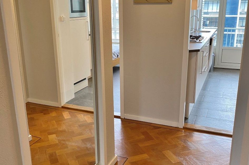 Van Alkemadelaan 1060