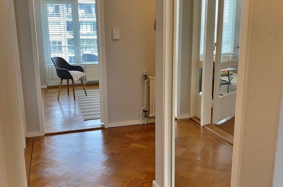 Van Alkemadelaan 1060