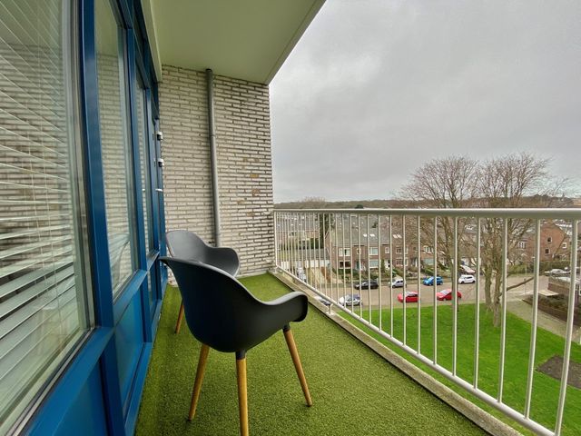 Van Alkemadelaan 1060, Den Haag