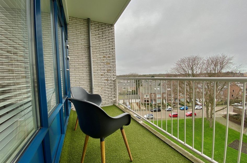 Van Alkemadelaan 1060