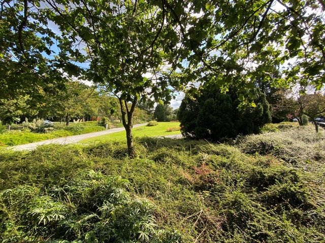 Jozef Israëlsplein 1P, Den Haag