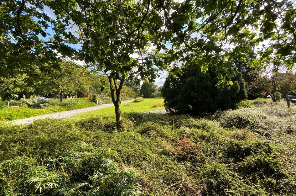 Jozef Israëlsplein 1P