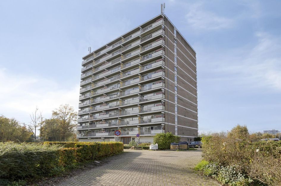 Aalscholversingel 462