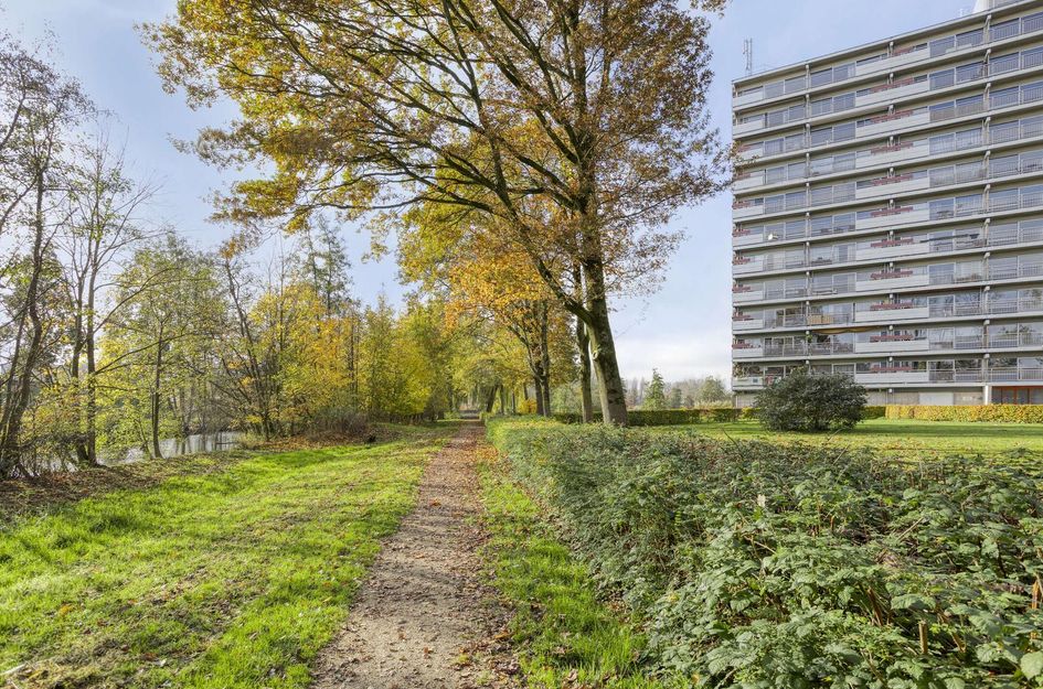 Aalscholversingel 462