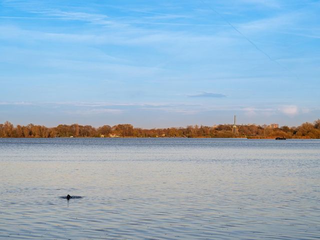 Philips Willemstraat 36, Rotterdam