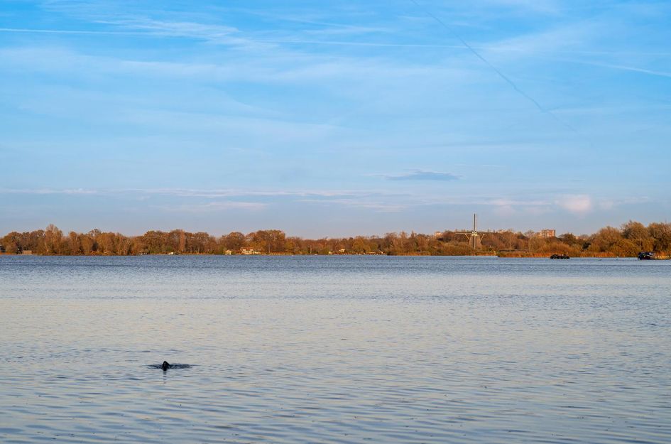 Philips Willemstraat 36