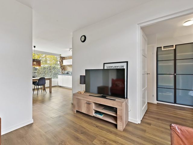 Hofsingel 25, Maasland