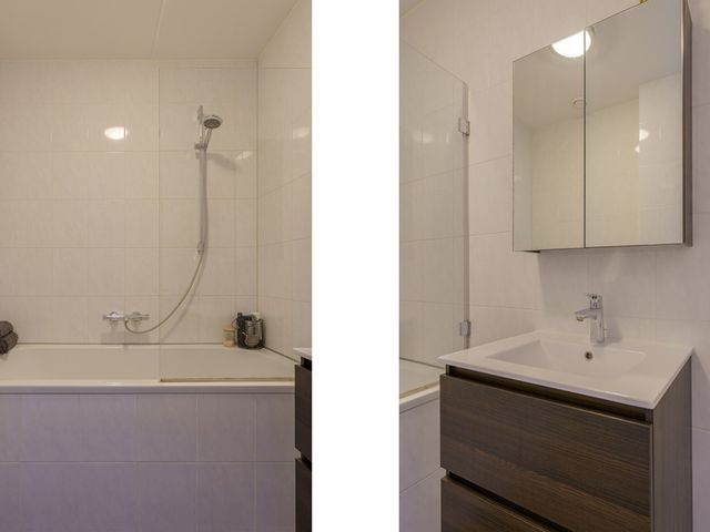 Spiegeltuin 60, 's-Hertogenbosch