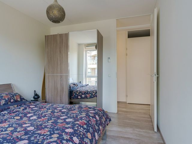 Spiegeltuin 60, 's-Hertogenbosch