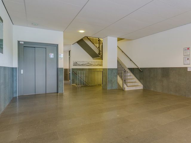 Spiegeltuin 60, 's-Hertogenbosch