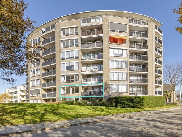 Salviabeemd 35B, Maastricht