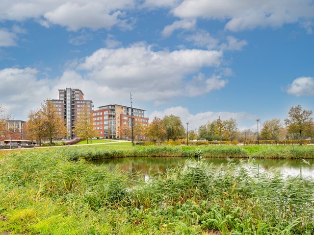 Thetfordstraat 134, Spijkenisse