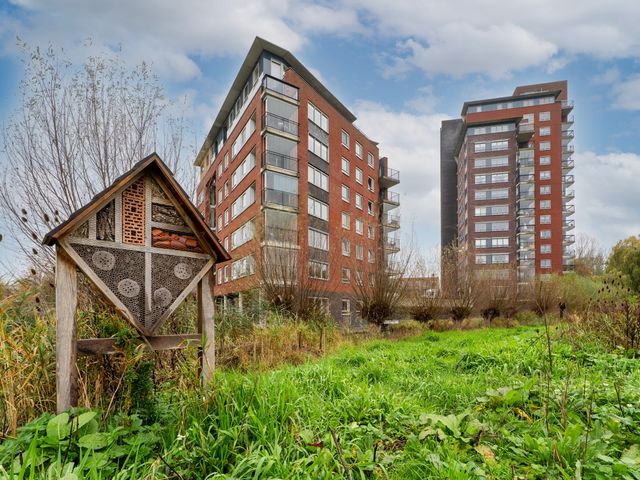 Thetfordstraat 134, Spijkenisse