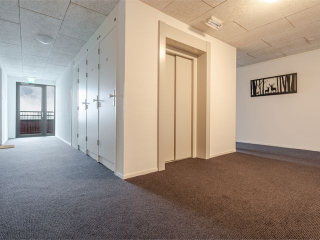 Thetfordstraat 134, Spijkenisse