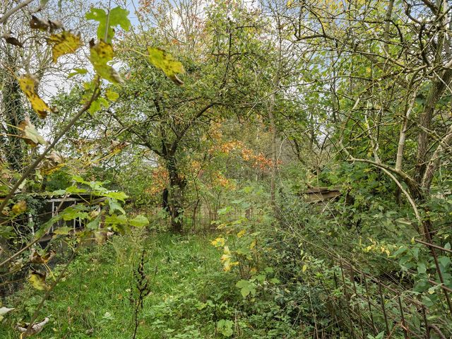 Weerdingerstraat 167, Emmen