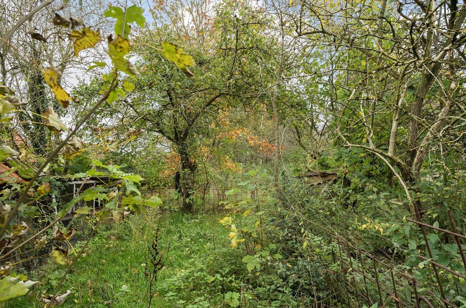 Weerdingerstraat 167