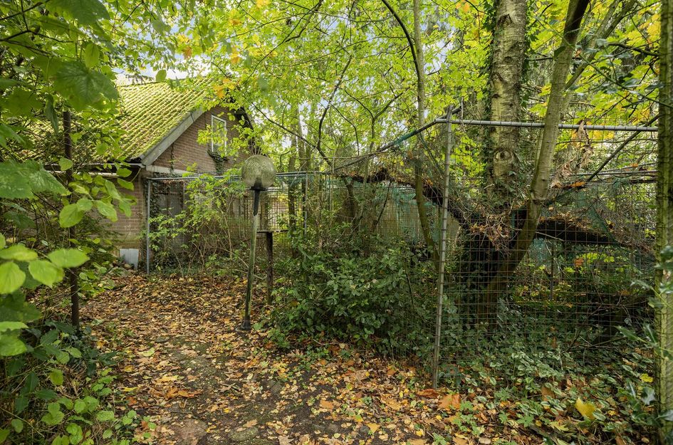 Weerdingerstraat 167