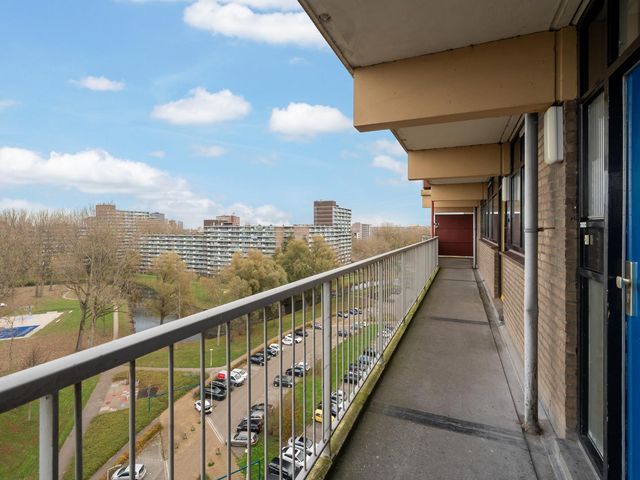 Laveibos 202, Zoetermeer