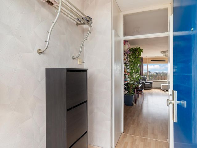 Laveibos 202, Zoetermeer