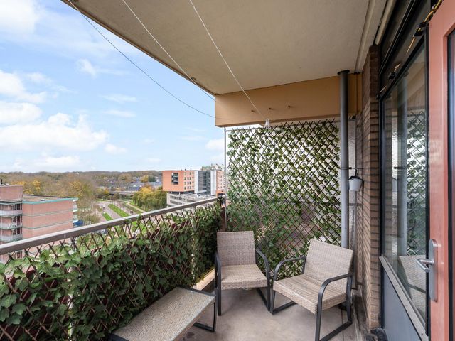 Laveibos 202, Zoetermeer