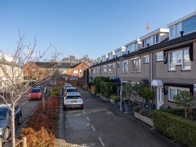 Riviermos 6, Bergschenhoek