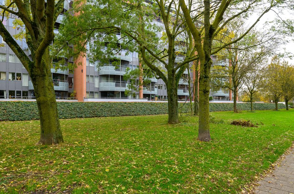 Dokter Van Ledestraat 39