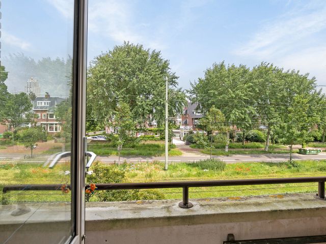 Nieuwe Parklaan 144 6, Den Haag