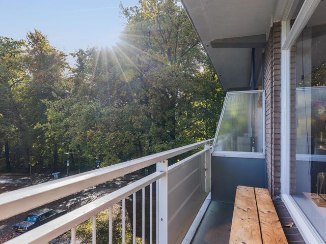 Lippe Biesterfeldstraat 5 3, Arnhem