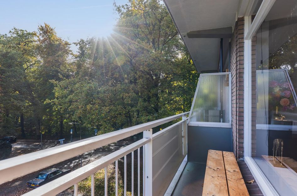 Lippe Biesterfeldstraat 5 3