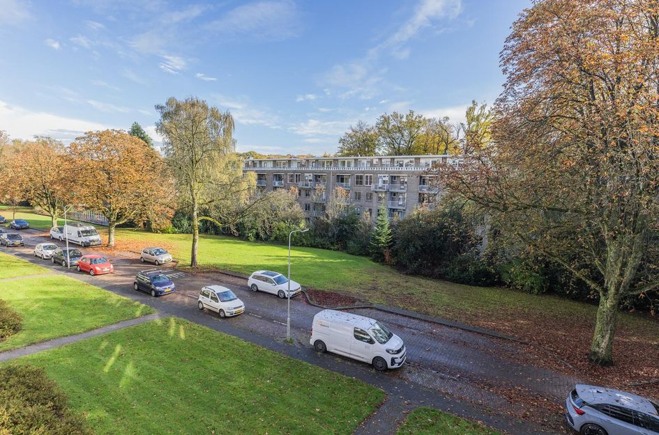 Lippe Biesterfeldstraat 5 3