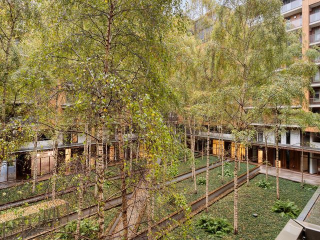 Oppert 116, Rotterdam