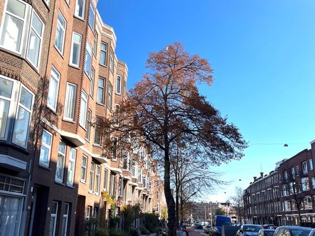 Beukelsweg 53A, Rotterdam