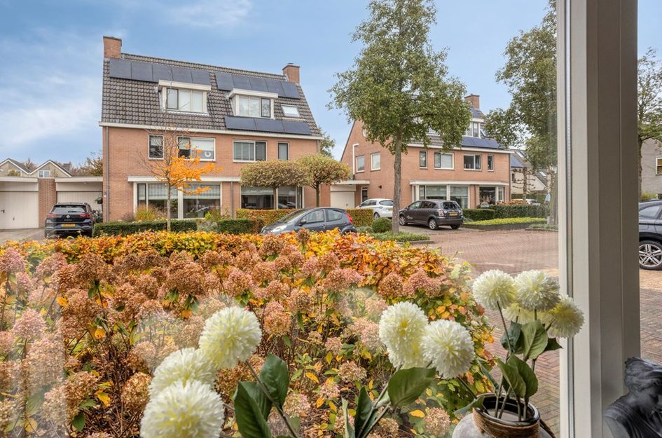 Vuurvlinderronde 4