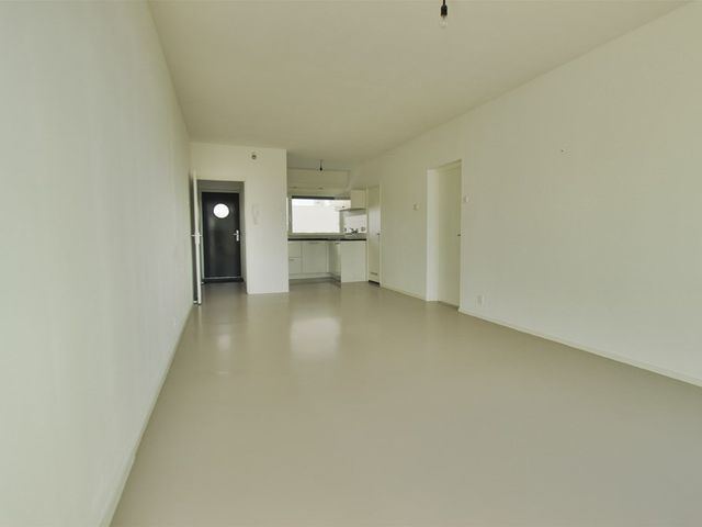 Crack-State 80, Amsterdam