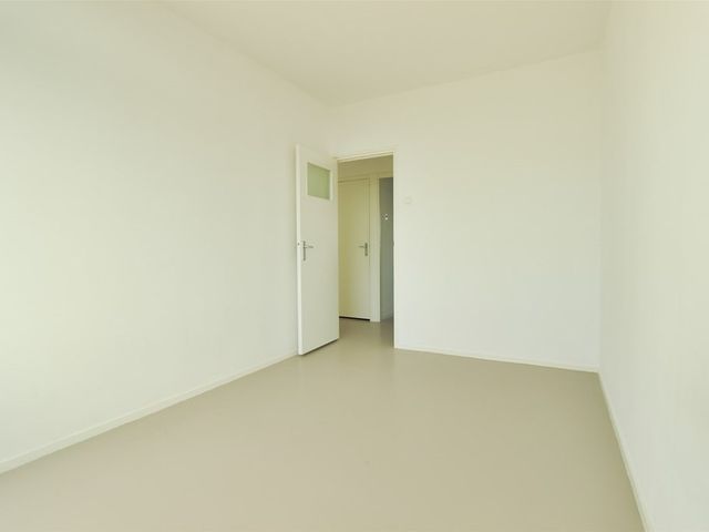 Crack-State 80, Amsterdam