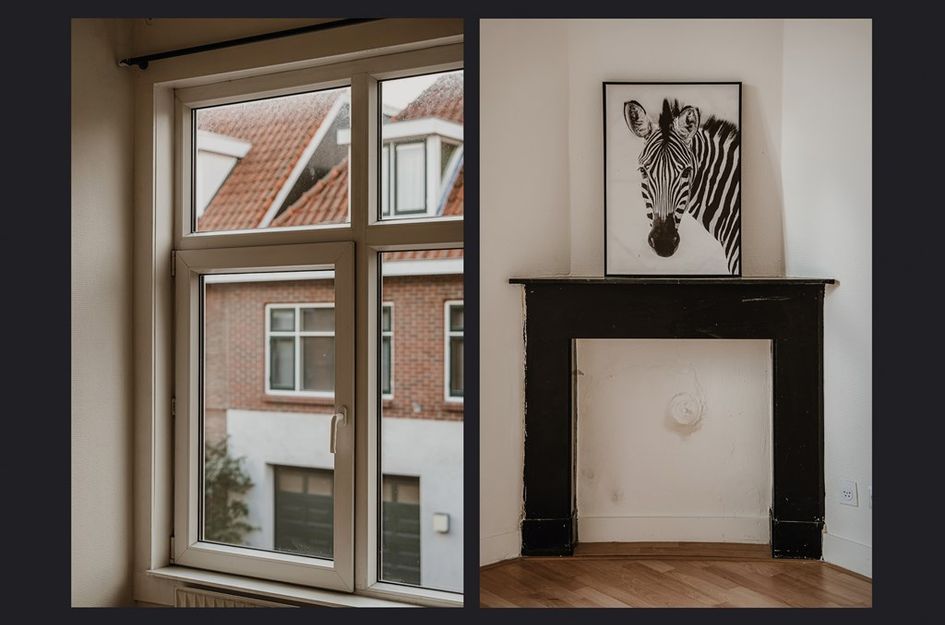 Swammerdamstraat 3BS