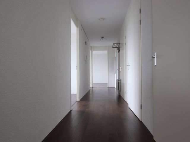 Harriët Freezerhof 29, 's-Gravenhage