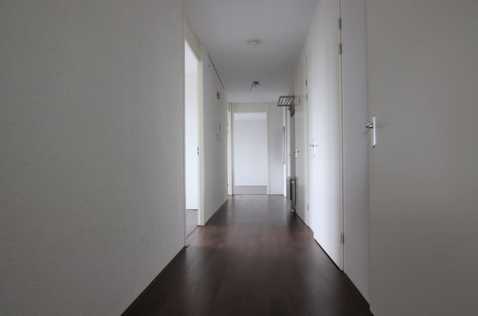 Harriët Freezerhof 29