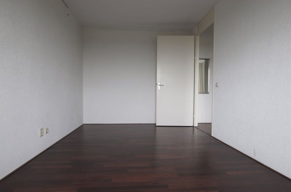 Harriët Freezerhof 29