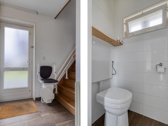 Olmenstraat 36a, Vogelwaarde