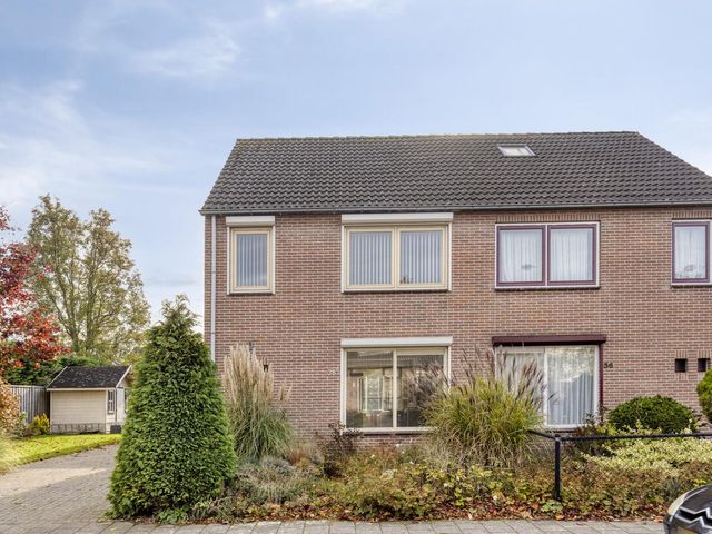 Olmenstraat 36a, Vogelwaarde