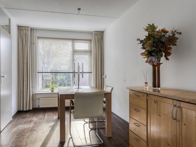 Olmenstraat 36a, Vogelwaarde