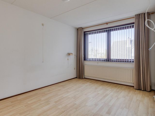 Olmenstraat 36a, Vogelwaarde