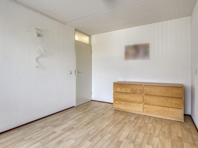 Olmenstraat 36a, Vogelwaarde