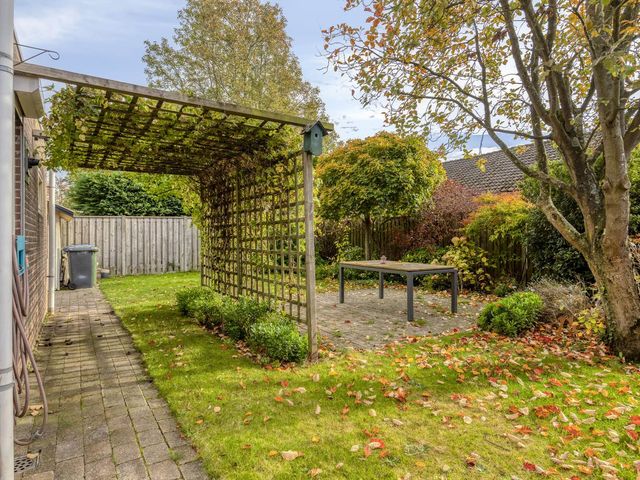 Olmenstraat 36a, Vogelwaarde